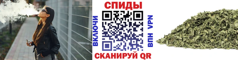 цена   Кинель  БУТИРАТ оксана 