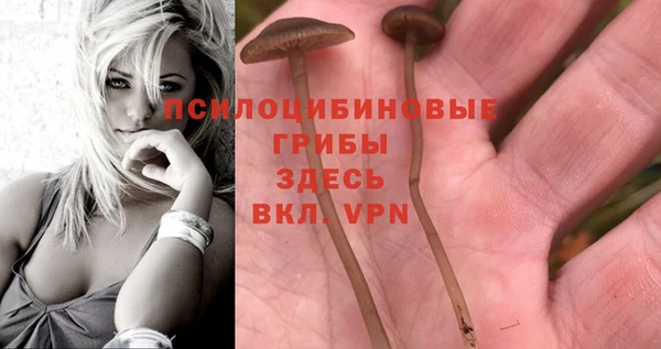 гидра Армянск