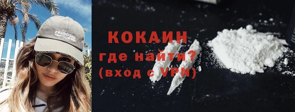 прущие грибы Аркадак