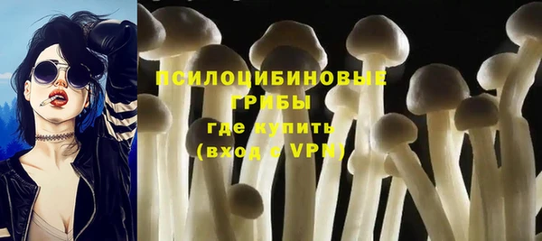 гидра Армянск