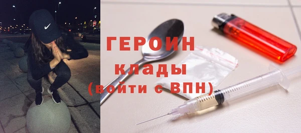 твердый Гусев