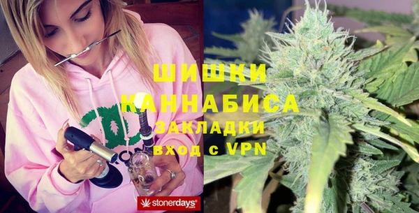 прущие грибы Аркадак