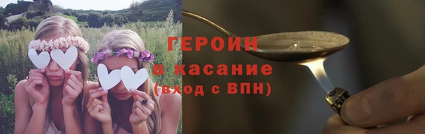 прущие грибы Аркадак