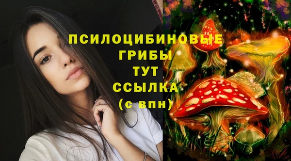 эйфоретик Гусиноозёрск