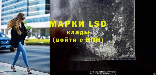 прущие грибы Аркадак