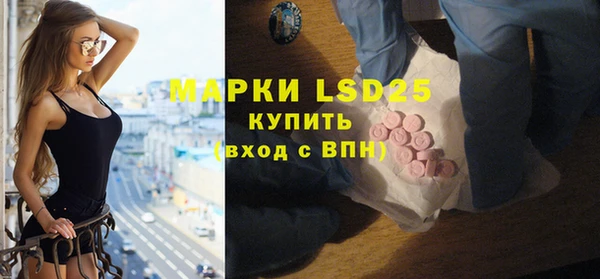 прущие грибы Аркадак