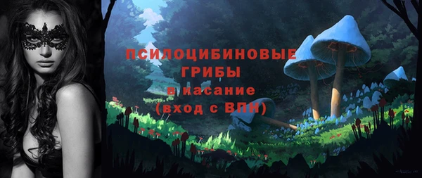 мяу мяу мука Гусь-Хрустальный