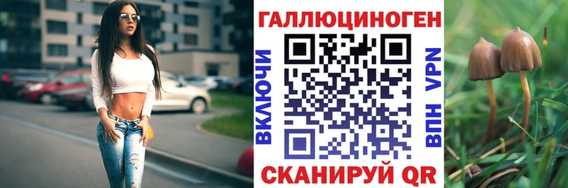 даркнет сайт  Кинель  Галлюциногенные грибы мицелий 